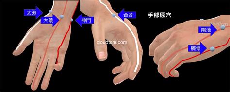 五行經絡|理解12經絡的原穴與五輸穴，良導絡檢測點是什麼穴？。